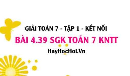 Bài 4.39 SGK Toán 7 tập 1 Kết nối tri thức